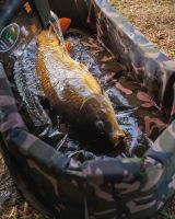 Fox Podložka Camolite Deluxe Welded Mat (19)