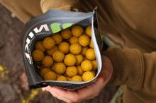 Nikl Boilie Ready Corn (3)