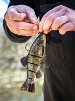 Fox Rage Gumová Nástraha Replicant Jointed Super Natural Tench (5)