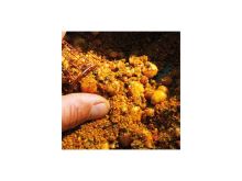 Chytil Methodmix Kapří Dobroty (4)