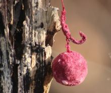 Nikl Powder Dip 60 g (2)