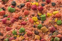 Mivardi Krmítková Směs R1 Carp 950 g (14)