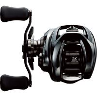 Daiwa Baitcastový Multiplikátor 24 Steez SV TW 100L (1)