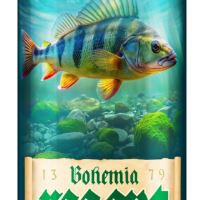 Bohemia Regent Pivo Dárkový Karton Zimní Vodní Říše 6x 0,5 l (2)