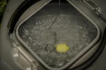 One More Cast Smršťovací Hadička Vitabitz Simply Shrink Tubing Green 8 x 55 mm (11)