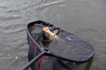 Dam Podběráková Hlava TACT-X Landing Net (1)