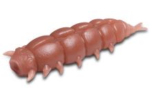 Delphin Umělá Nástraha LARVO Cheese 3 cm 0,5 g 15 ks (9)