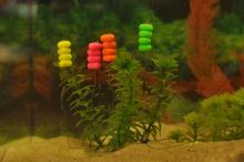 Mivardi Plovoucí Kukuřice  MagiCorn 15 ks (2)