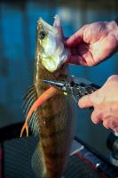 Fox Rage Kleště Belt Pliers 18,5 cm (18)