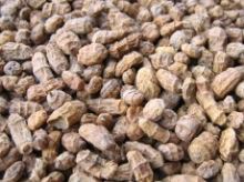 Nikl tygří ořech standard 6 - 12 mm 1 kg Nikl tygří ořech standard 6 - 12 mm 1 kg