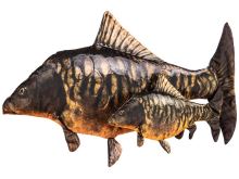 BeCare Polštář Kapr Lysec (1)