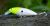 3Stan Wobler Fatty 70 CHHS 7 cm 13 g