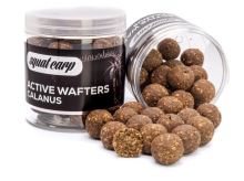 Squat Carp Vyvážené Boilies Active Wafters Calanus