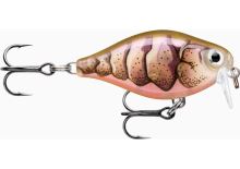 Rapala Wobler X- Light Crank Shallow Runner PUPU 3,5 cm 4 g Rapala Wobler X- Light Crank Shallow Runner PUPU 3,5 cm 4 g