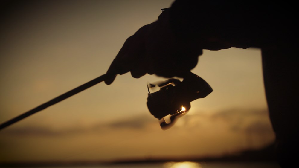 Shimano Naviják Stella SW D 10000 HG (8)