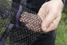 Browning Podběráková Hlava CK Competion Net 45x35x28 cm 8x8 mm (7)