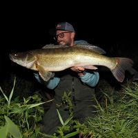 Berkley Gumová Nástraha Cullshad Slim Brown Perch (14)