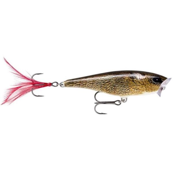 Rapala Wobler Skitter Pop Top Water Fresh FML