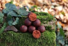 Mivardi Boilies Rapid Excellent ProActive Kapří Guláš (2)