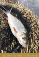 ČRS Nástěnný Rybářský Kalendář Na Rok 2024 (1)